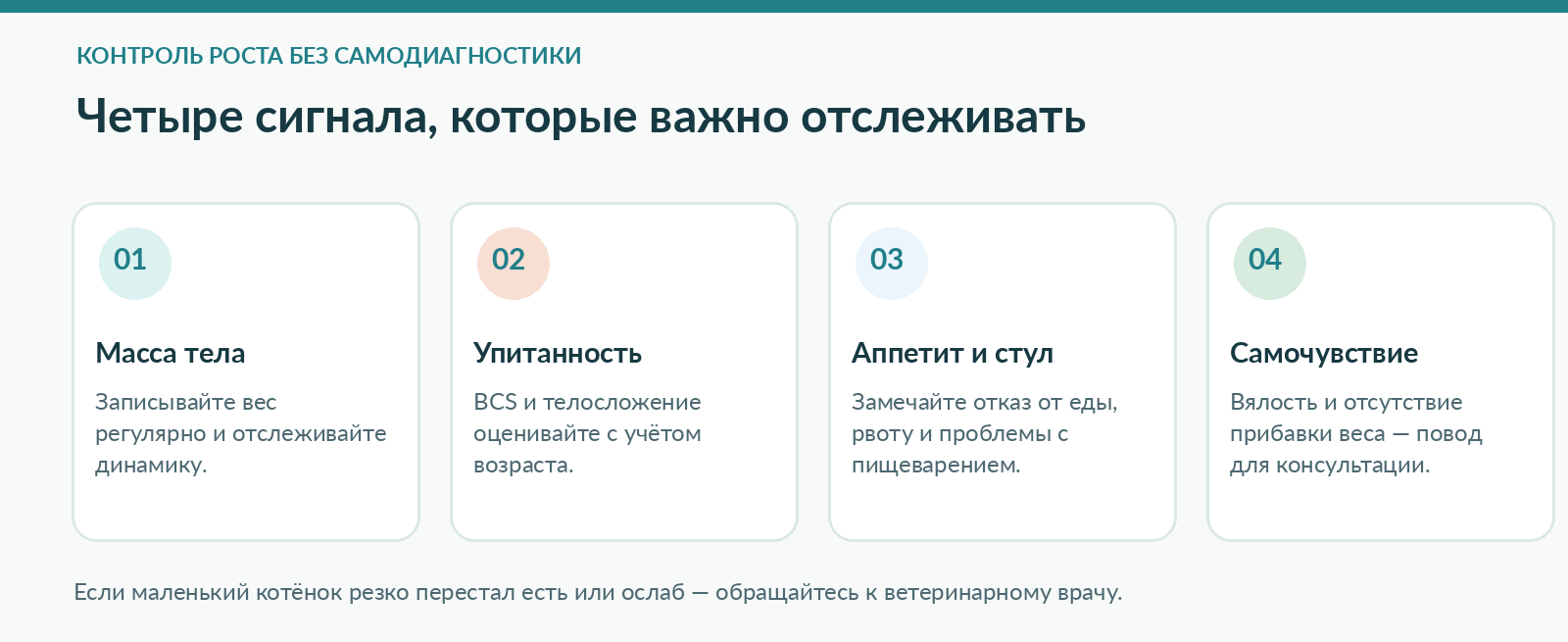 Как наблюдать за ростом котёнка: вес, упитанность, аппетит и стул