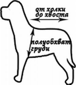 sxema Gamma Kombinezon №22 Labrador kypit v zoomagazine «PetXP»