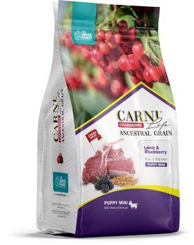 Carni Life - Сухой корм для щенков мелкой породы, с Ягненком, Ежевикой и Клюквой