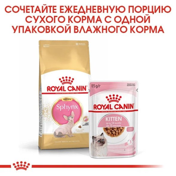 Royal Canin Kitten Sphynx - Сухой корм для котят породы Сфинкс