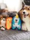 OutwardHound - Игрушка для собак Invinc Mini, Цыпленок 17 см без наполнителя