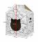 Tappi - Когтеточка "Бакэнэко" картонный домик для животных 34х34х50см