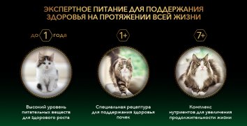 Pro Plan LiveClear - Сухой корм для котят, с Индейкой