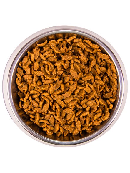 Monge Salmon - Корм для взрослых кошек с лососем