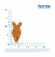 Monge Cat Salmon - Корм для взрослых кошек с лососем