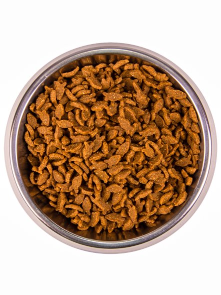 Monge Salmon - Корм для взрослых кошек с лососем
