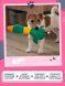 Fancy Pets - Мягкая игрушка для животных &amp;quot;Утка&amp;quot;