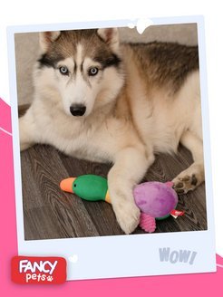 Fancy Pets - Мягкая игрушка для животных &amp;quot;Утка&amp;quot;