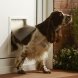 PetSafe - Aluminum дверца алюминиевая для крупных кошек и средних собак до 18 кг белая 400*277 мм