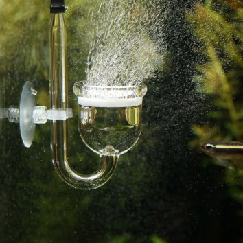 JBL - Миниатюрный CO2-диффузор для пресноводных аквариумов 20-400 л (ProFlora Taifun P)