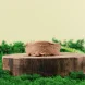Мнямс Деликатес &amp;quot;Фондан&amp;quot; - Влажный корм из мяса курицы с кошачьей мятой для кошек 80 г