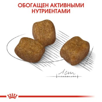 Royal Canin Mini Dental Care - Сухой корм для собак с повышенной чувствительностью зубов