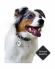 Mr.Kranch - Ошейник для собак из натуральной кожи с QR-адресникомм, 20-24см