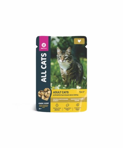 All Cats - Паучи для кошек, с тефтельками из курицы в соусе, 85гр