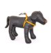Papillon - Шлейка, искусственный кожа 10мм-26-40см, горчичный (Harness, 10 mm x 26 - 40 cm, Mac Leather, colour cognac) 170485
