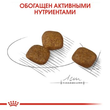 Royal Canin Mini Coat Care - Сухой корм для собак малых пород с тусклой и сухой шерстью