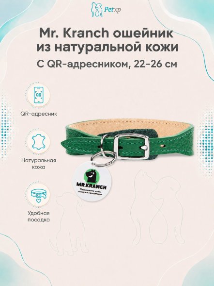 Mr. Kranch - Ошейник для собак из натуральной кожи с QR-адресникомм, 22-26 см