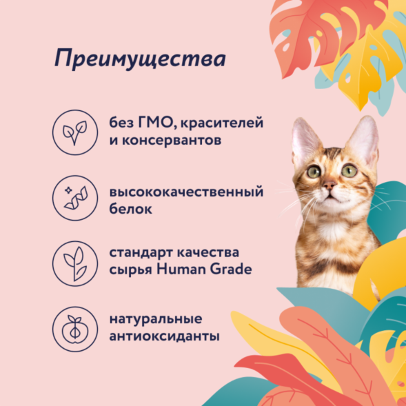 Florida - Консервы для кошек, с Курицей и Яблоком, 100гр