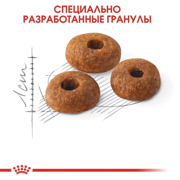 Royal Canin Fit 32 - Сухой корм для кошек с нормальной активностью