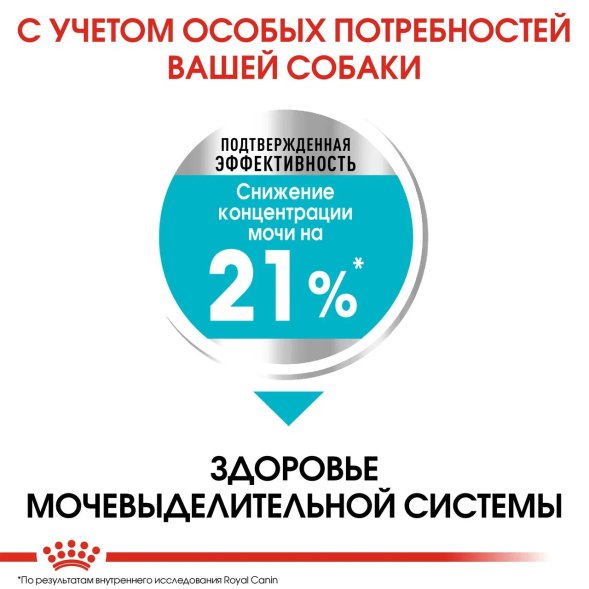 Royal Canin Mini Urinary Care - Сухой корм для собак с чувствительной мочевыделительной системой