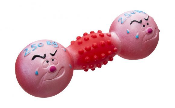 Yami-Yami - Игрушка для собак "Гантель 250кг", красный