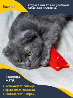 Fancy Pets - Игрушка для кошек «Котик» с мятой