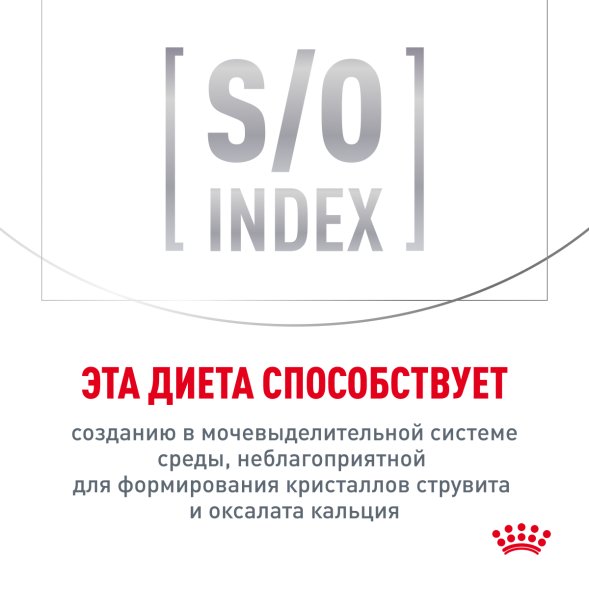 Royal Canin Skin &amp;amp; Coat - Сухой корм для кошек при дерматозах