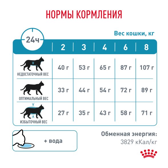 Royal Canin Skin &amp;amp; Coat - Сухой корм для кошек при дерматозах