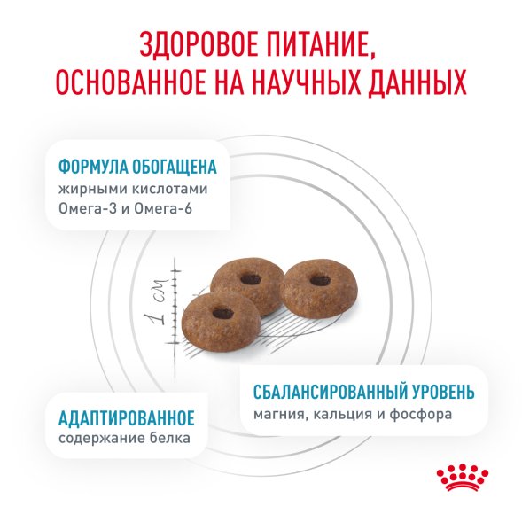Royal Canin Skin &amp;amp; Coat - Сухой корм для кошек при дерматозах