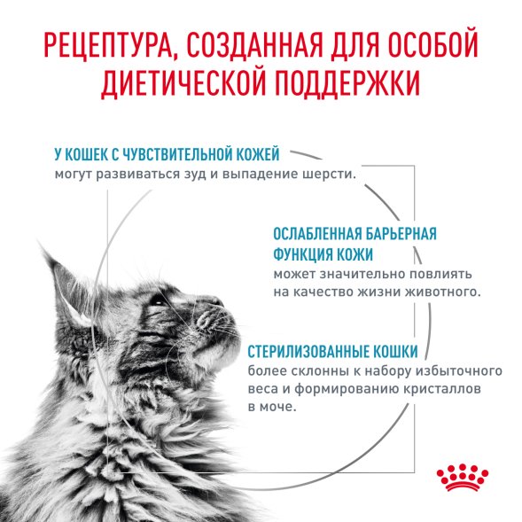 Royal Canin Skin &amp;amp; Coat - Сухой корм для кошек при дерматозах