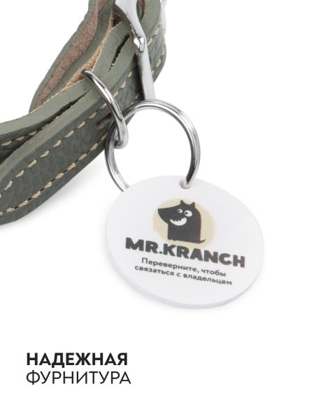 Mr. Kranch - Ошейник для собак из натуральной кожи с QR-адресникомм, 30-35 см