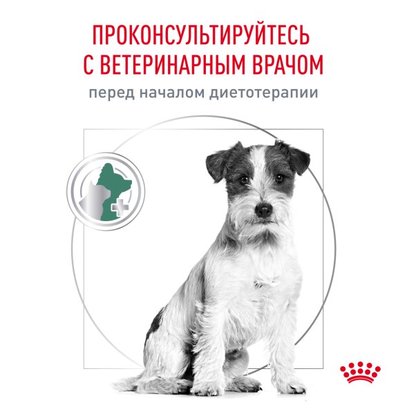 Royal Canin Satiety Small Dog SSD30 - Диета для собак малых пород с лишним весом