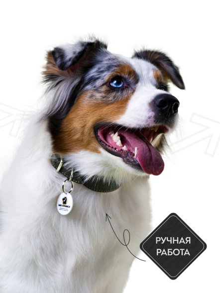 Mr. Kranch - Ошейник для собак из натуральной кожи с QR-адресникомм, 33-40 см