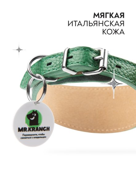 Mr. Kranch - Ошейник-селедка для собак из натуральной кожи с QR-адресникомм, 19-23 см