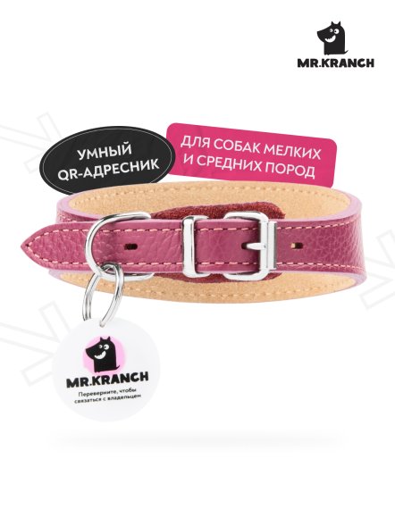 Mr. Kranch - Ошейник-селедка для собак из натуральной кожи с QR-адресникомм, 19-23 см