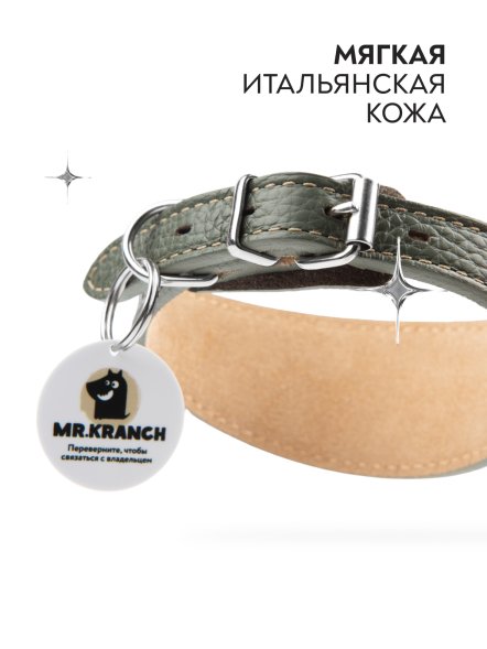 Mr. Kranch - Ошейник-селедка для собак из натуральной кожи с QR-адресникомм, 19-23 см