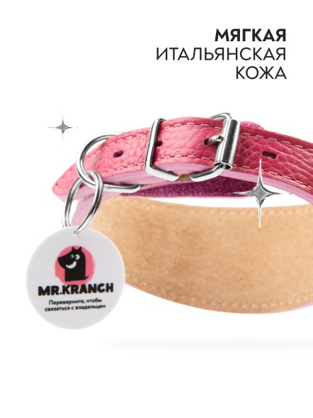 Mr. Kranch - Ошейник-селедка для собак из натуральной кожи с QR-адресникомм, 19-23 см