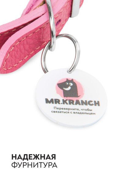 Mr. Kranch - Ошейник-селедка для собак из натуральной кожи с QR-адресникомм, 19-23 см
