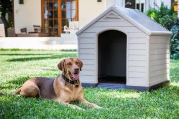 Curver PetLife - Загородный дом для питомца, Пластик