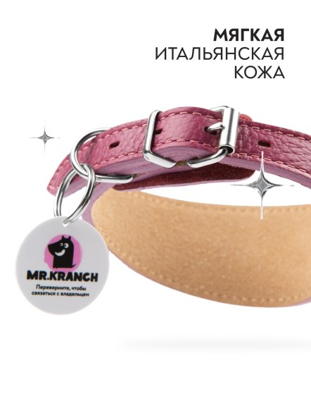 Mr. Kranch - Ошейник-селедка для собак из натуральной кожи с QR-адресникомм, 21-25 см