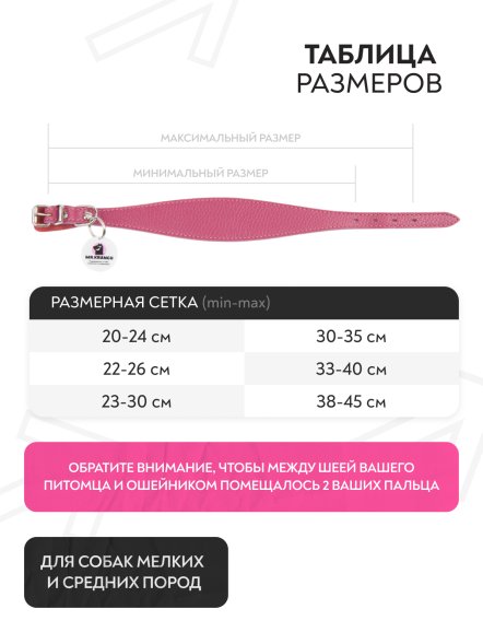 Mr. Kranch - Ошейник-селедка для собак из натуральной кожи с QR-адресникомм, 21-25 см