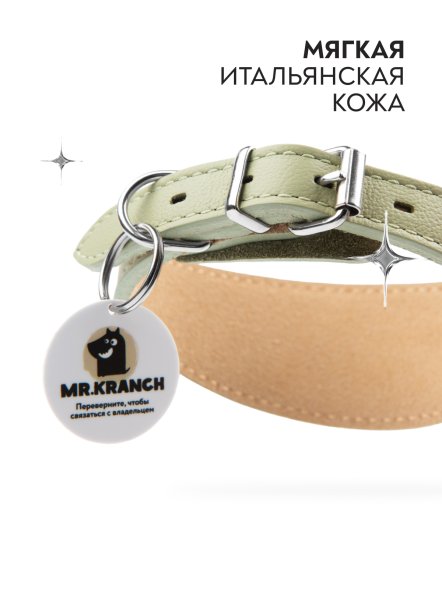Mr. Kranch - Ошейник-селедка для собак из натуральной кожи с QR-адресникомм, 21-25 см