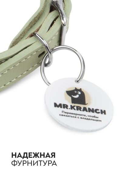 Mr. Kranch - Ошейник-селедка для собак из натуральной кожи с QR-адресникомм, 21-25 см