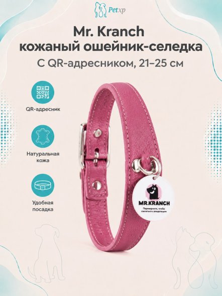 Mr. Kranch - Ошейник-селедка для собак из натуральной кожи с QR-адресникомм, 21-25 см