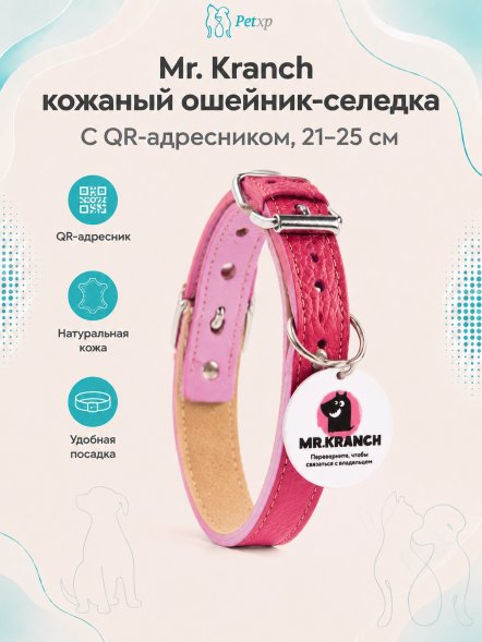 Mr. Kranch - Ошейник-селедка для собак из натуральной кожи с QR-адресникомм, 21-25 см