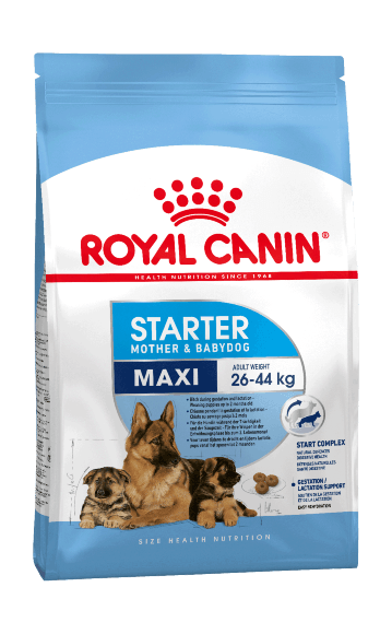 11374.580 Royal Canin Maxi Starter - Syhoi korm dlya shenkov krypnih porod kypit v zoomagazine «PetXP» Royal Canin Maxi Starter - Сухой корм для щенков крупных пород