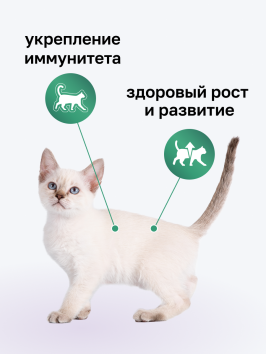 Organix - Паучи консервированный суп для котят, с индейкой, овощами и рисом 80гр