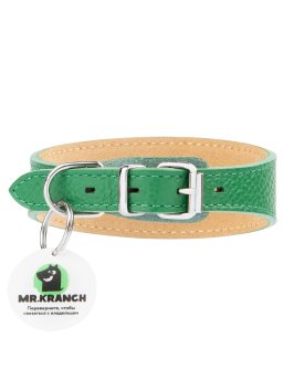 Mr. Kranch - Ошейник-селедка для собак из натуральной кожи с QR-адресникомм, 24-30 см