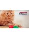 Petstages - Игрушка для кошек &amp;quot;Клубнички&amp;quot;, 3 шт в комплекте