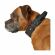 Hunter Larvik - Ошейник для собак с ручкой, кожаный, черный